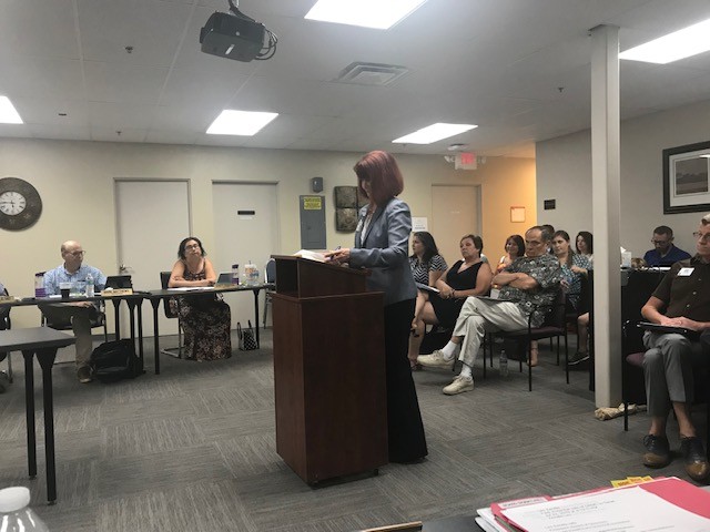 Michele Finney at July 23, 2019, DHCD Board meeting DRMC CEO Michele Finney